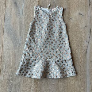 2T crewcuts dress